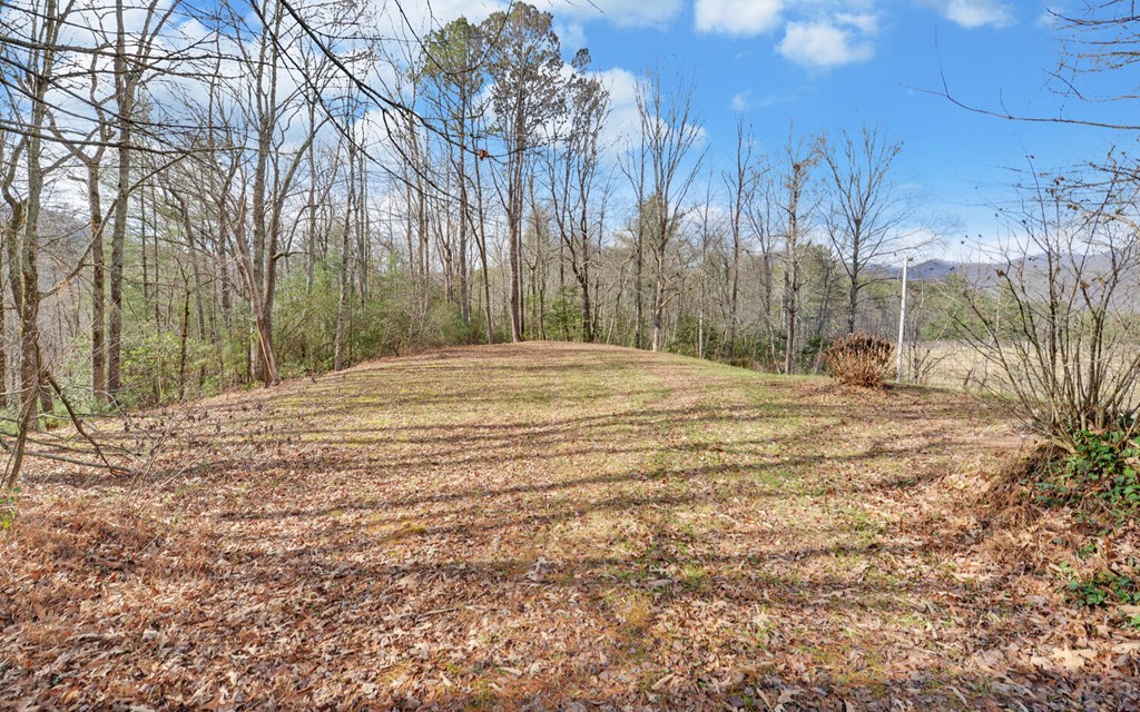 7300 Mr Bert Road Hiawassee, GA 30546 - Photo 45 of 48 a view of empty room with tree s