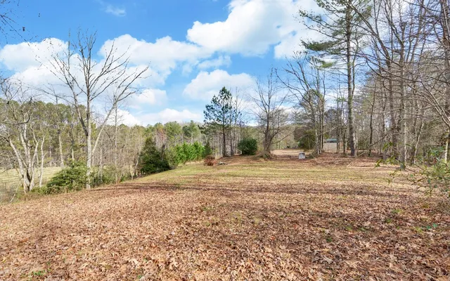 a view of dirt yard with large trees