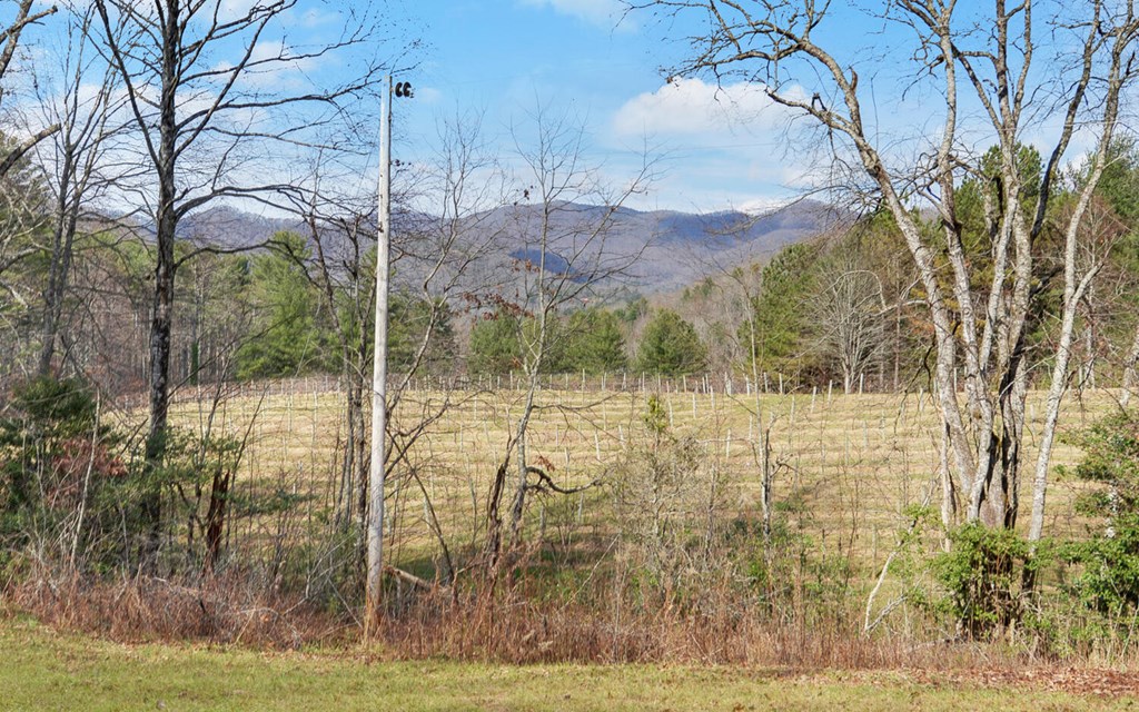 7300 Mr Bert Road Hiawassee, GA 30546 - Photo 5 of 48 a view of a yard