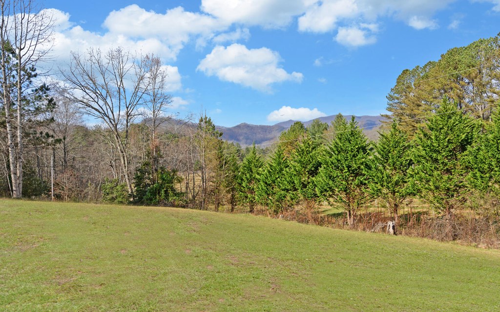 7300 Mr Bert Road Hiawassee, GA 30546 - Photo 6 of 48 a view of a yard with an trees
