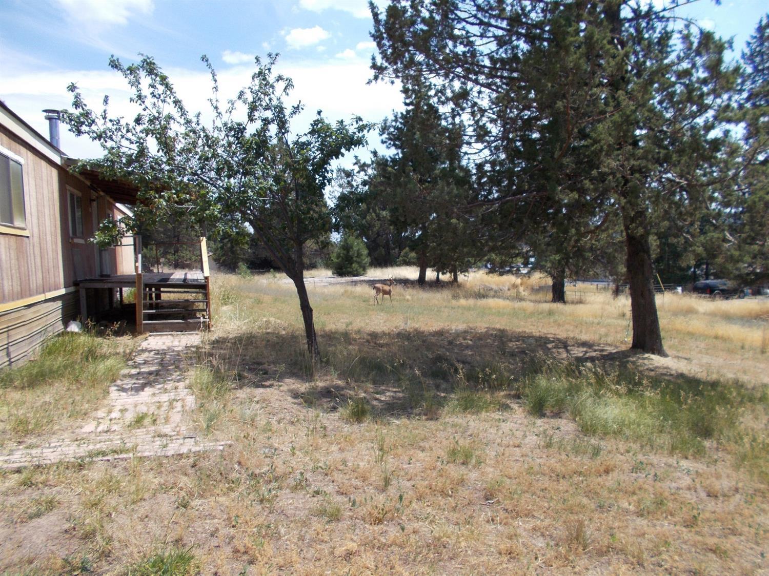 9721 Ben Kerns Road Klamath Falls, OR 97601 - Photo 3 of 14 Additional Photo
