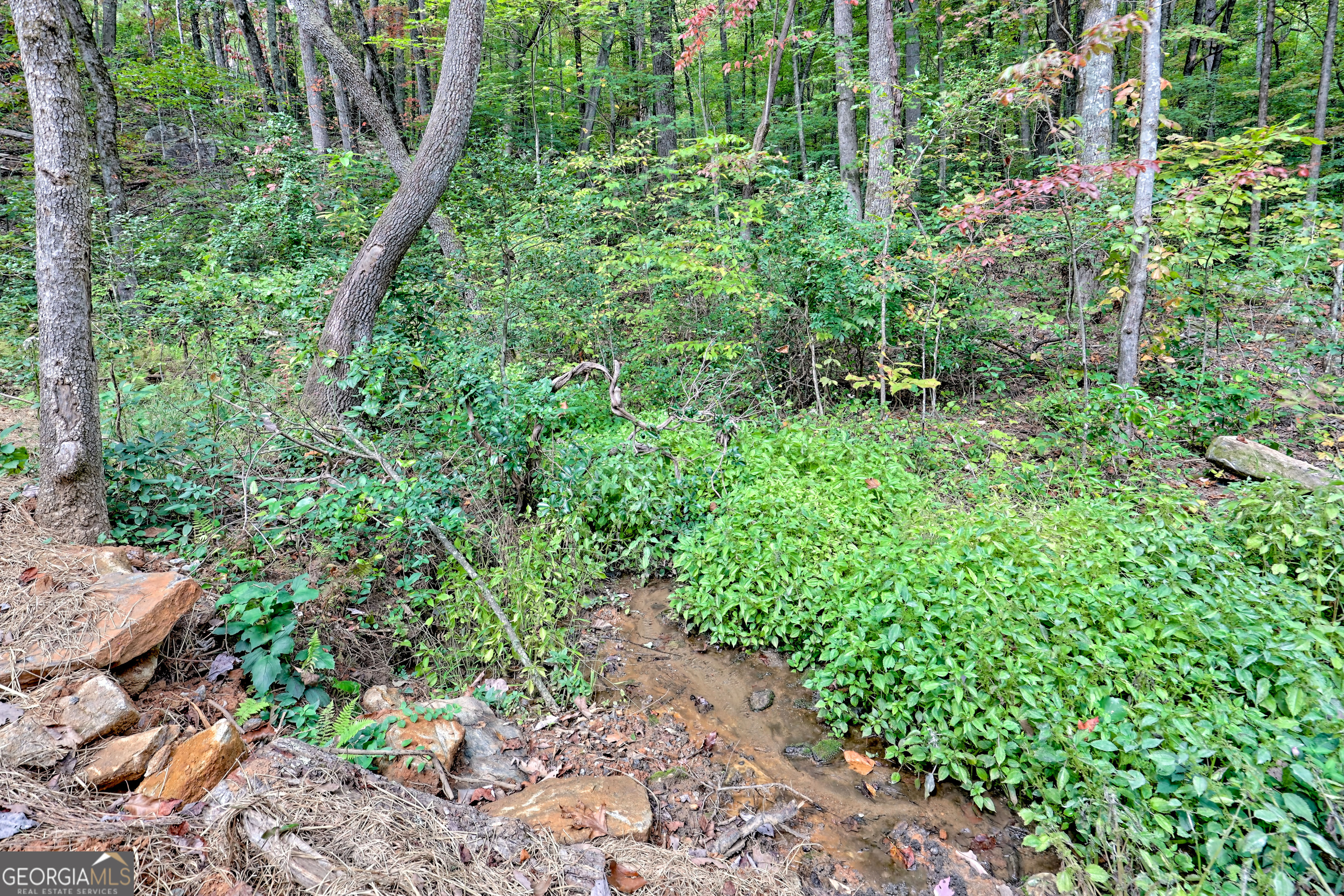 673 Autumn Ridge Drive Clayton, GA 30525 - Photo 24 of 30