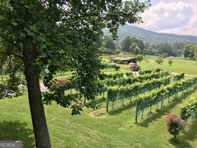 673 Autumn Ridge Drive Clayton, GA 30525 - Photo 27 of 30 Local winery