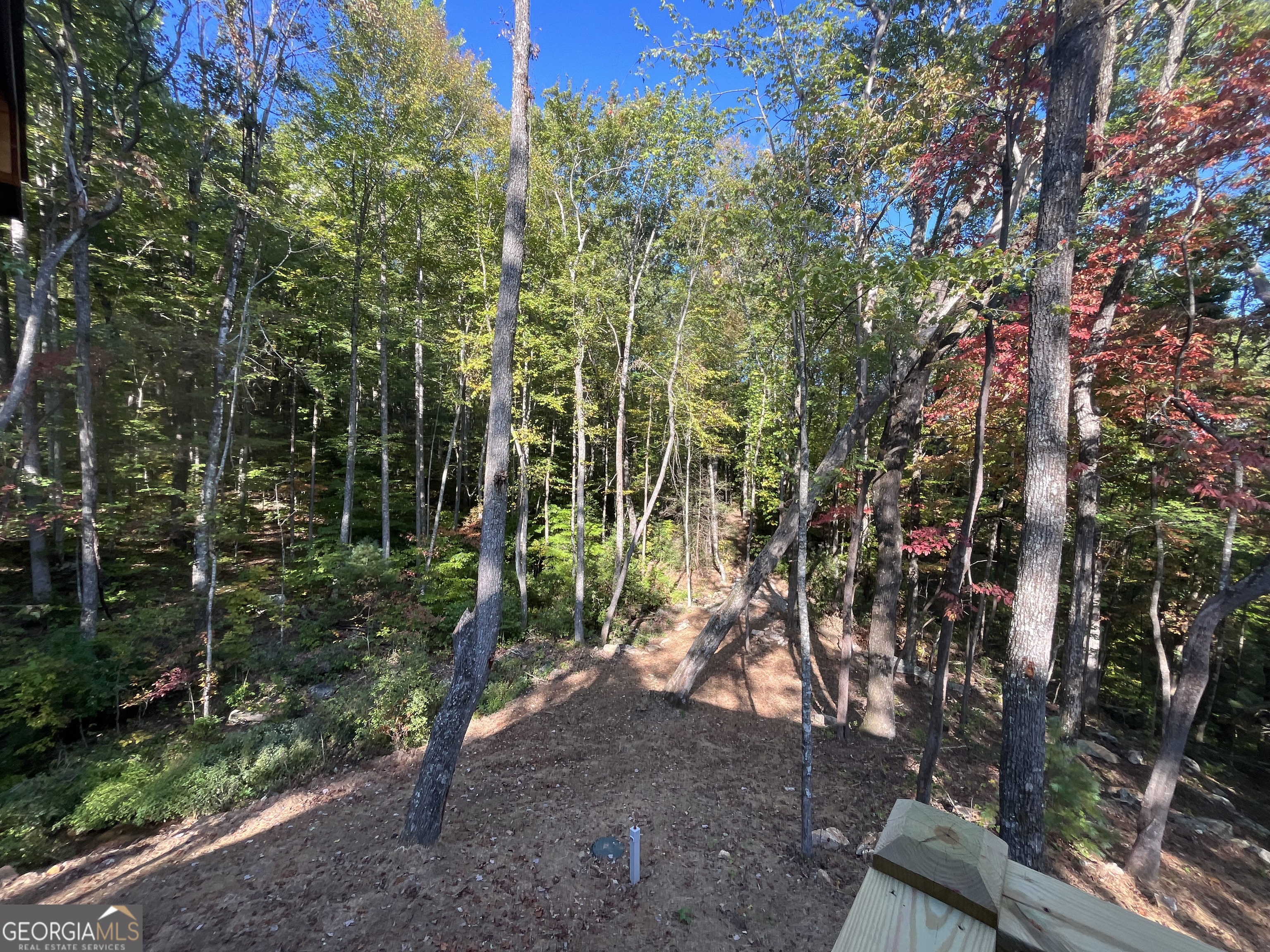 673 Autumn Ridge Drive Clayton, GA 30525 - Photo 7 of 30