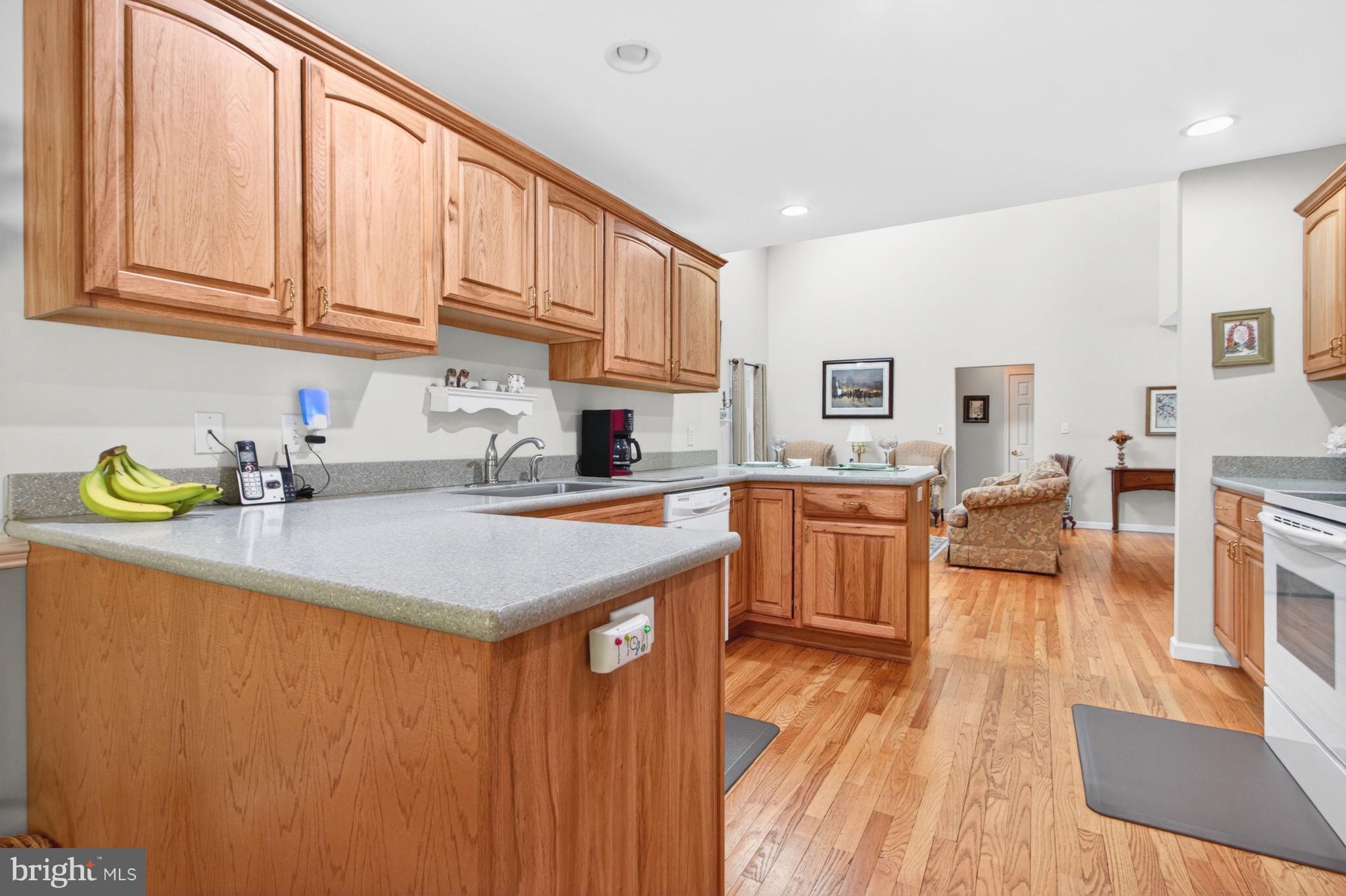 34371 Owls Nest Road Lewes, DE 19958 - Photo 15 of 58 a kitchen with stainless steel appliances granite countertop a stove a sink dishwasher and a refrigerator with wooden floor