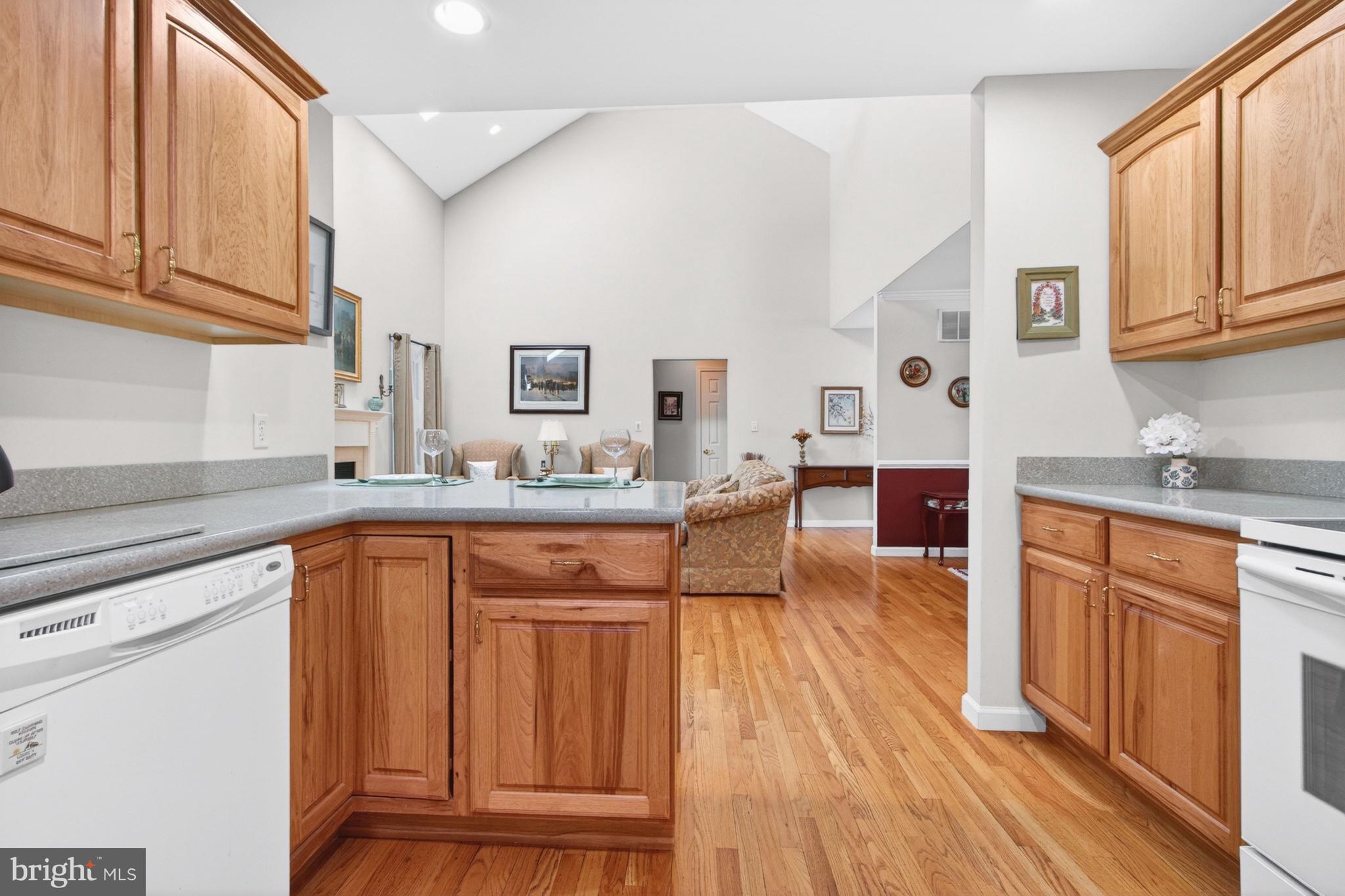 34371 Owls Nest Road Lewes, DE 19958 - Photo 16 of 58 a kitchen with stainless steel appliances granite countertop a sink cabinets and wooden floor