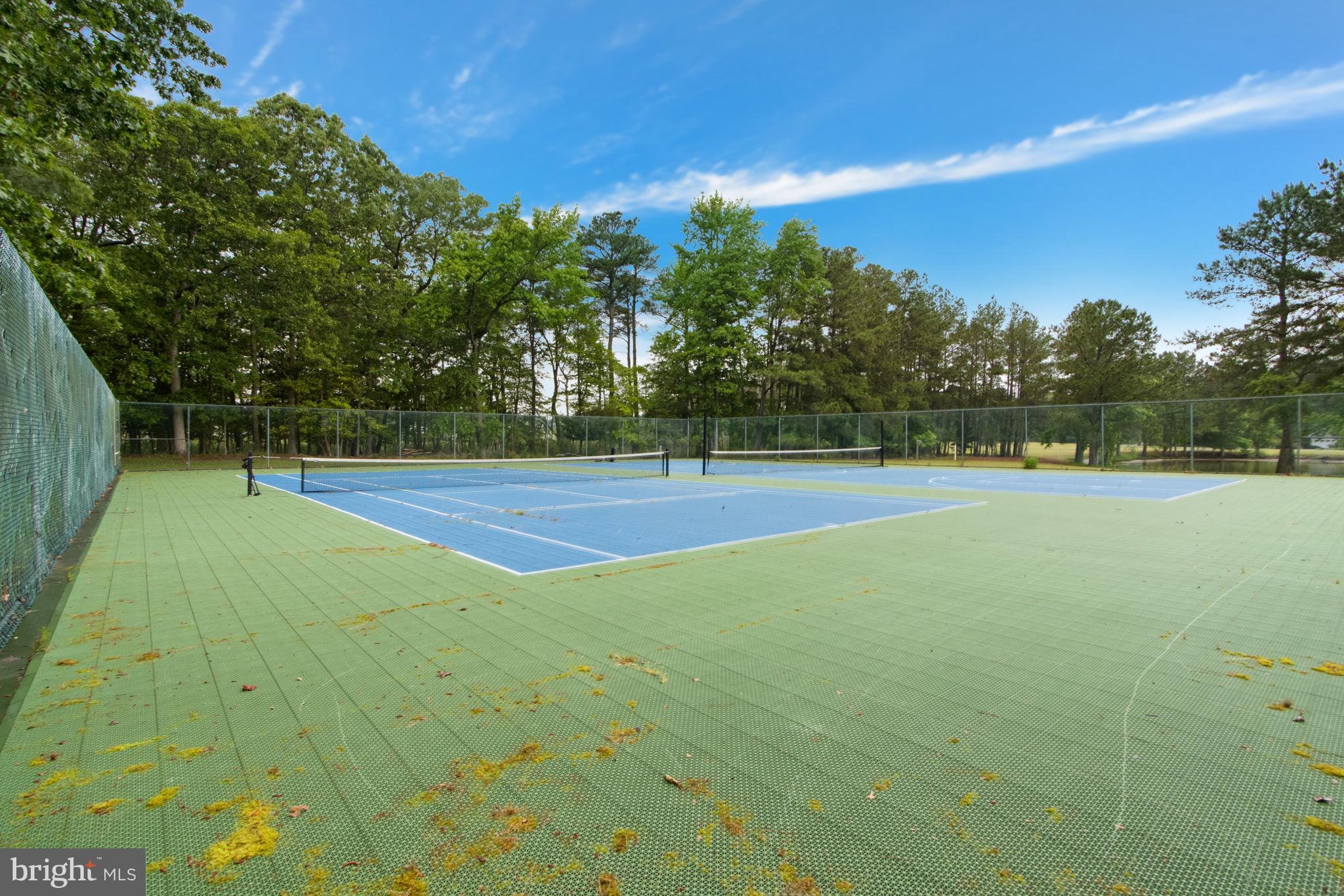 34371 Owls Nest Road Lewes, DE 19958 - Photo 55 of 58 a view of a tennis court