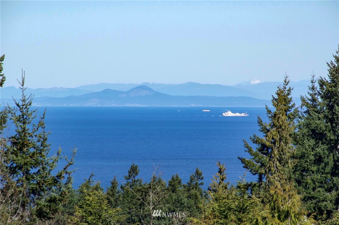 1006 Happy Valley Road Sequim, WA 98382 - Photo 3 of 40 a view of a lake with a mountain in the background