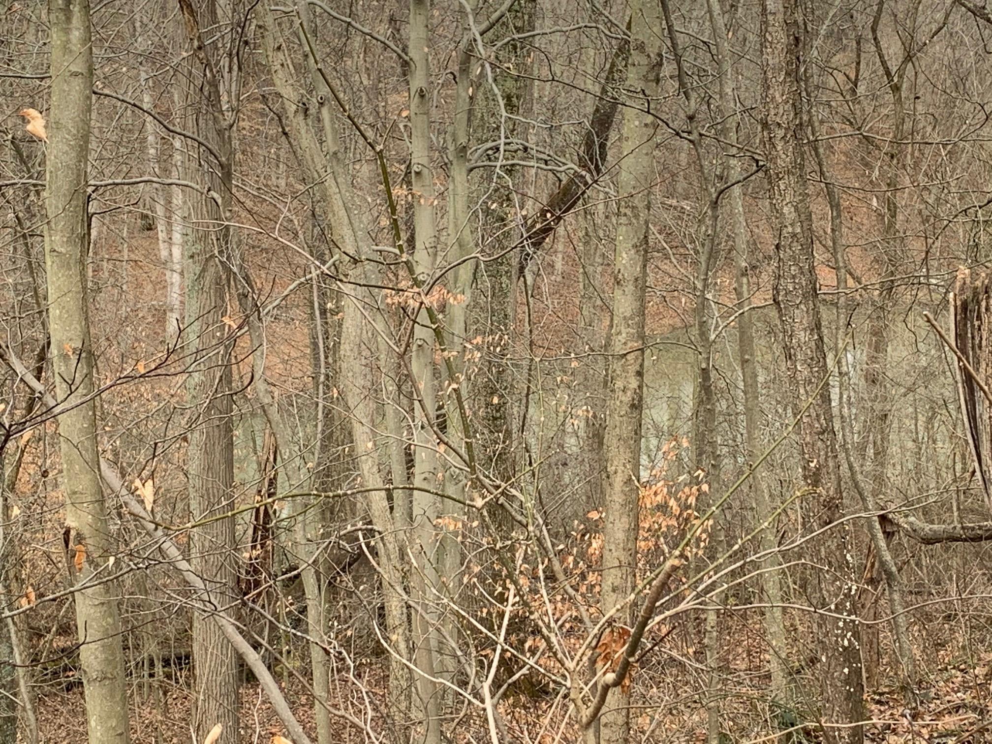0 Arter Road Southwest Lancaster, OH 43130 - Photo 1 of 2