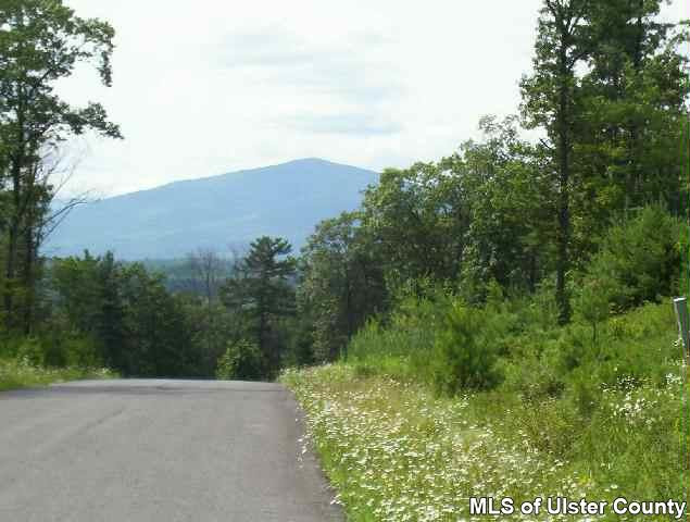 14 High Point View Road Stone Ridge, NY 12484 - Photo 2 of 5 a view of a green field with lots of bushes
