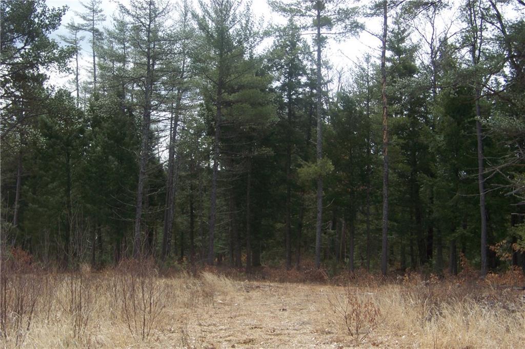 Lot 17 Sebago Road Hiram, ME 04041 - Photo 17 of 20 Photo