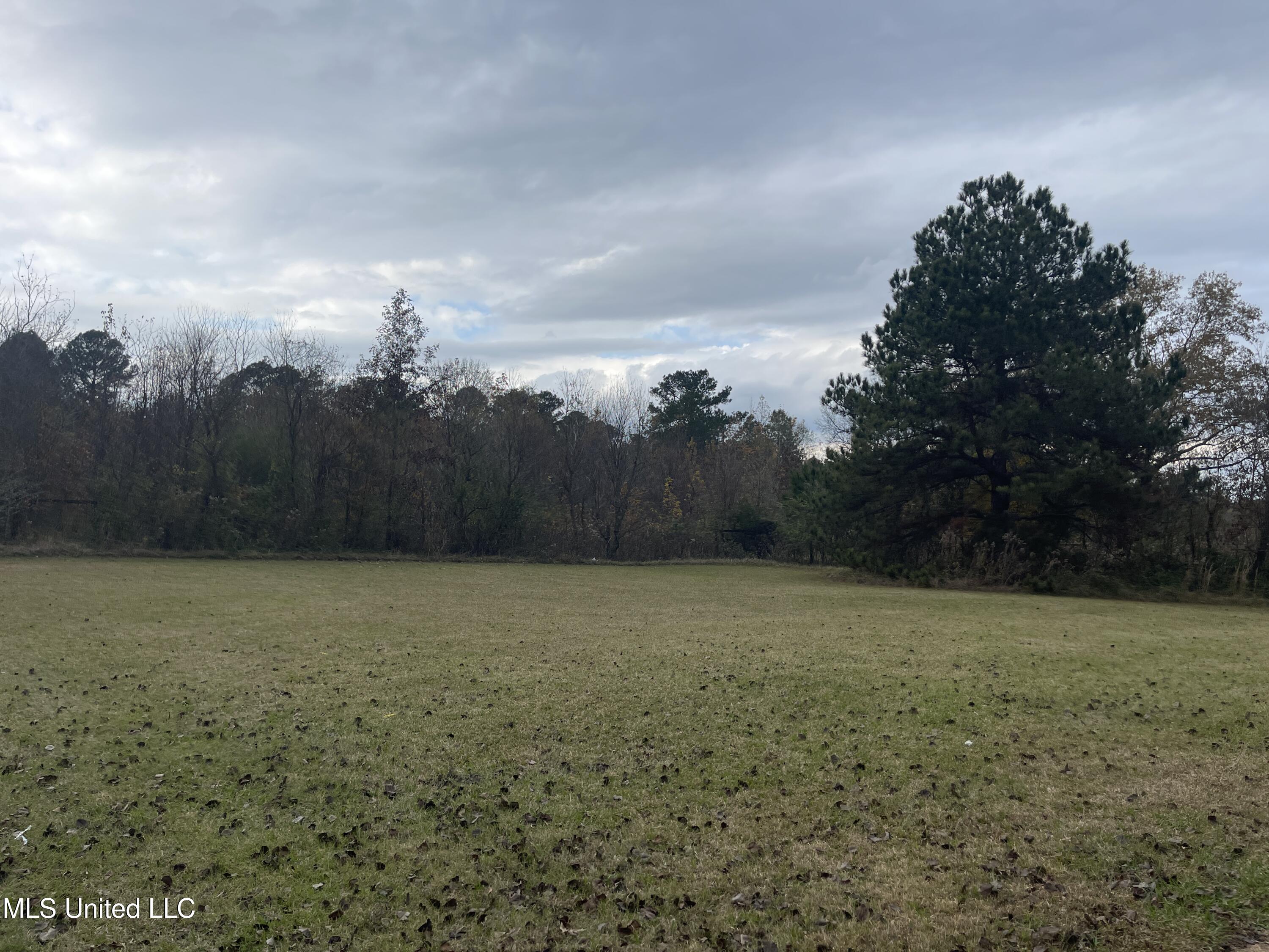 1840 Jack Johnson Road Terry, MS 39170 - Photo 27 of 31 IMG_1994