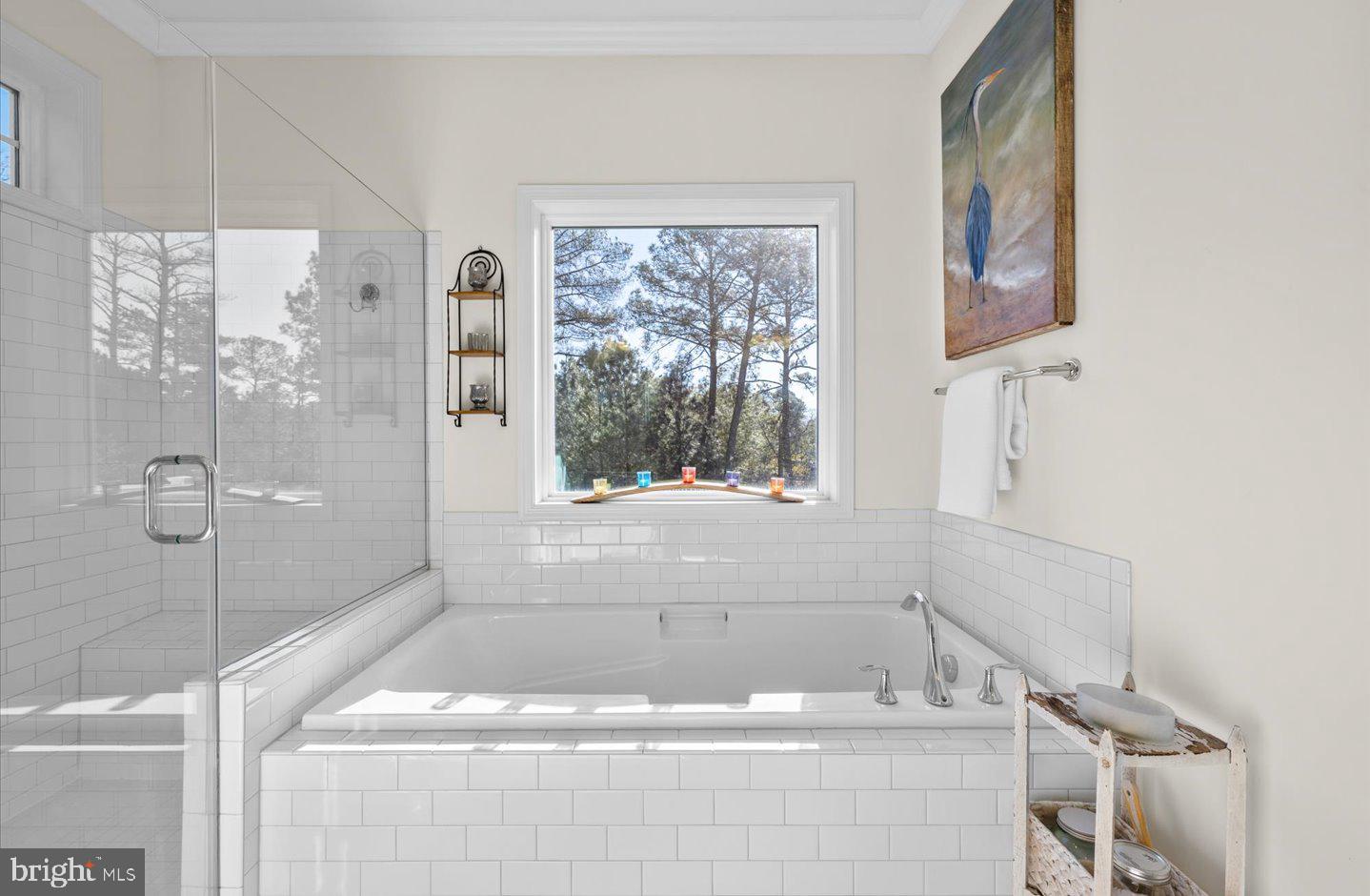 23280 Horse Island Road Lewes, DE 19958 - Photo 45 of 71 a bathroom with a bathtub and shower