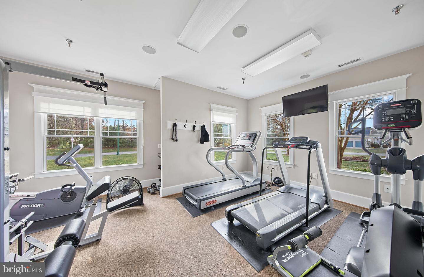 23280 Horse Island Road Lewes, DE 19958 - Photo 65 of 71 a room with gym equipment and windows
