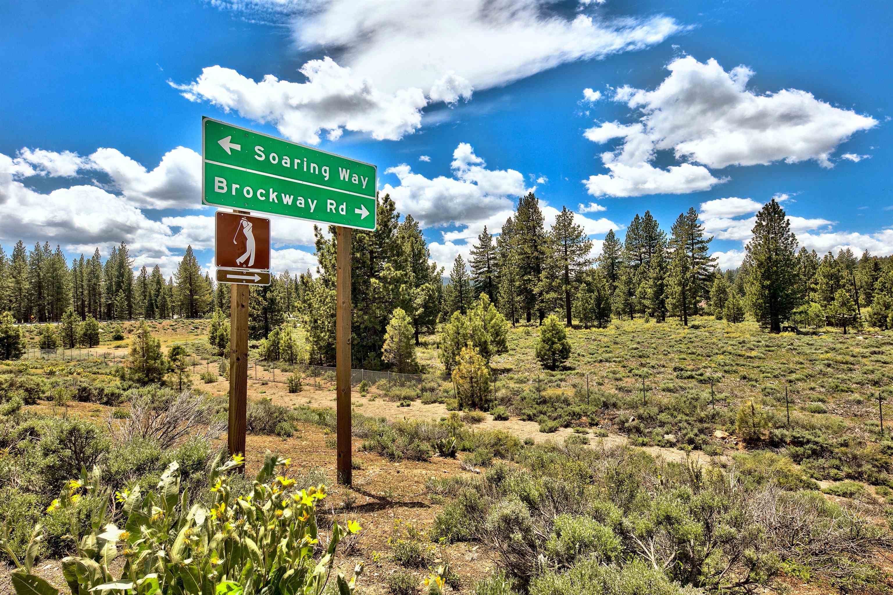 11467 Brockway Road Truckee, CA 96161 - Photo 8 of 21