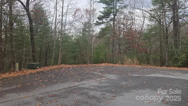 a view of a yard with trees in the background