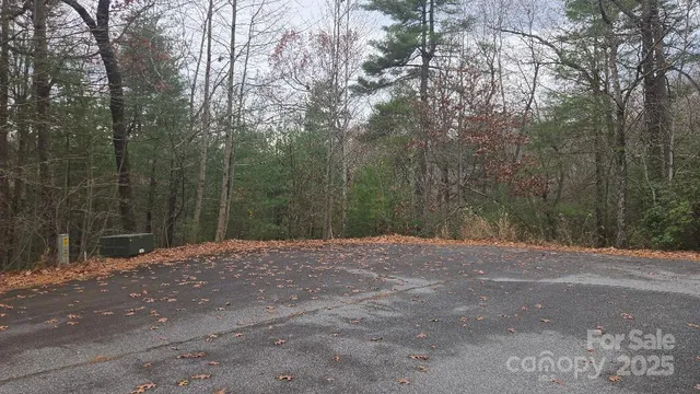 $670,000 | 23 Jay Foster Way, Unit 22/23, Saluda, NC 28773