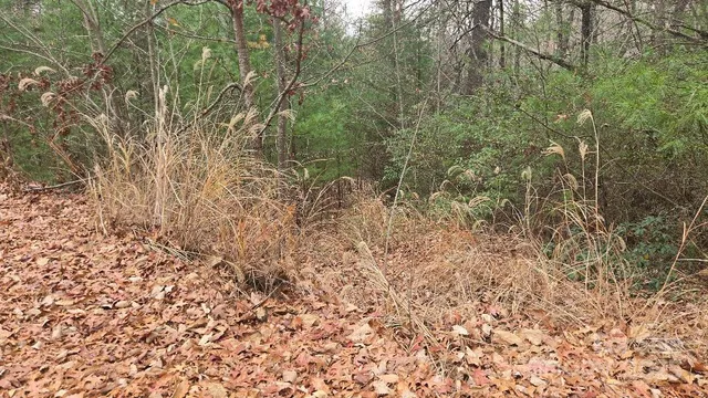 $670,000 | 23 Jay Foster Way, Unit 22/23, Saluda, NC 28773