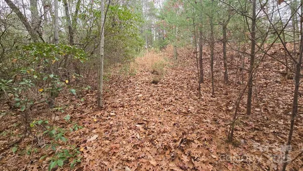 a view of a yard with a trees