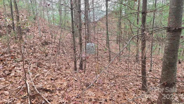 $670,000 | 23 Jay Foster Way, Unit 22/23, Saluda, NC 28773