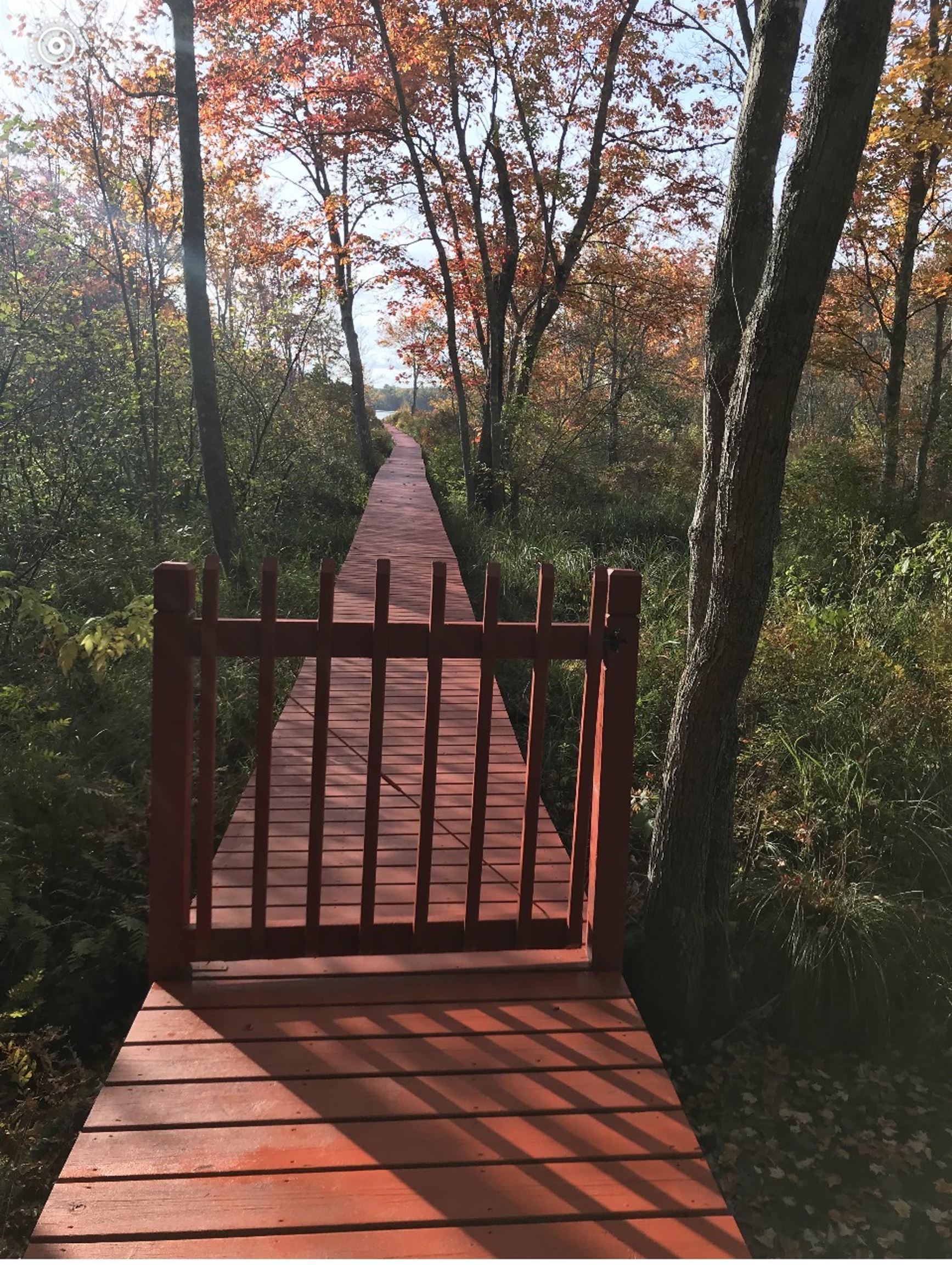 26 Harmony Road Northwood, NH 03261 - Photo 1 of 49