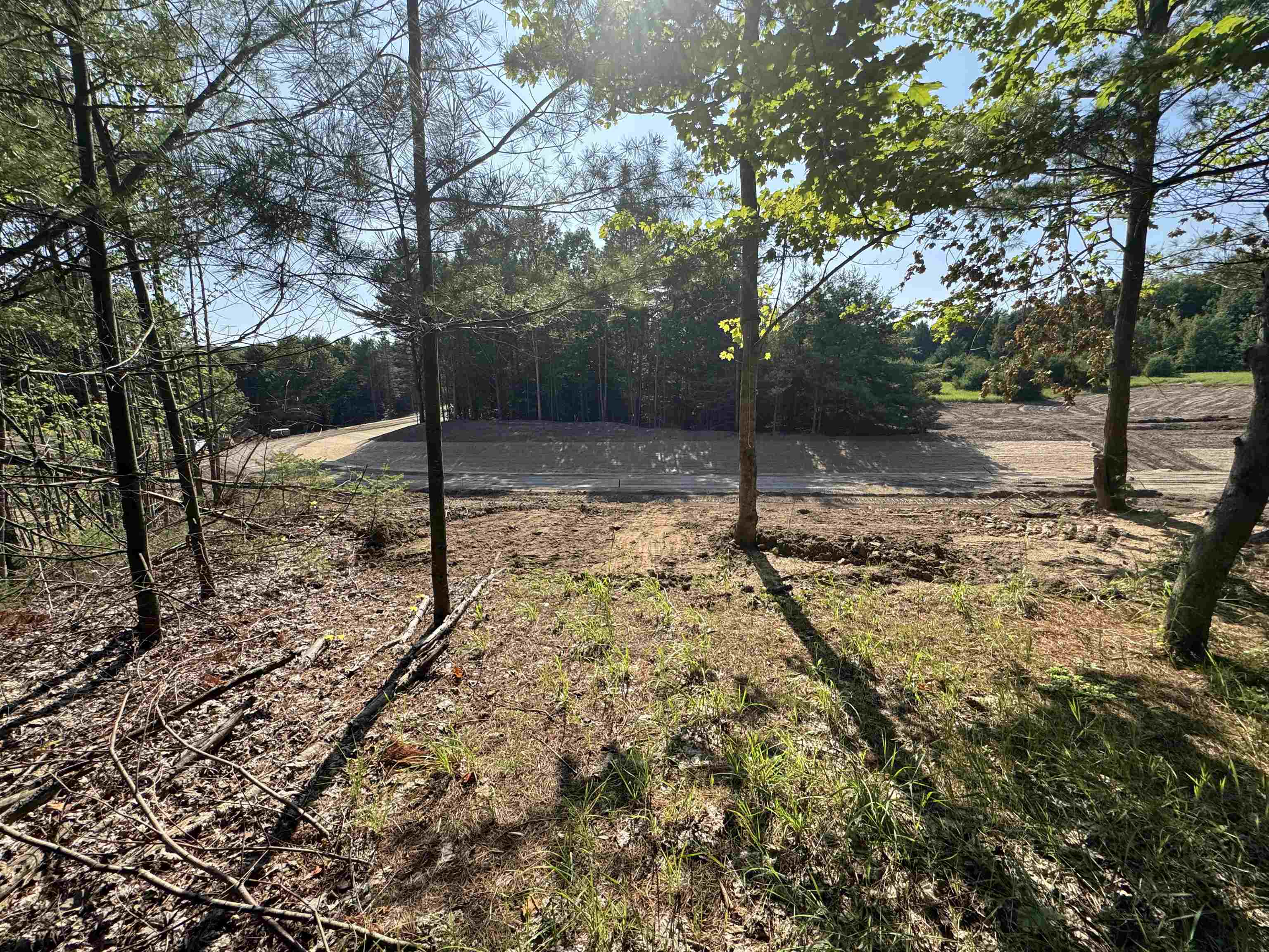Lot #6 East Bellinger Road, Unit 6 BELLINGER ESTATES (FIN) Cedar, MI 49621 - Photo 10 of 34
