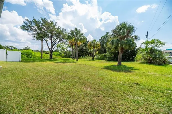 a view of a trees with a big yard