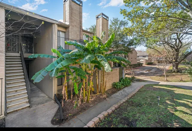 a view of a yard with plants