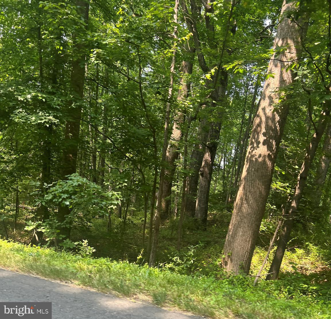 4 Colvin Road Amissville, VA 20106 - Photo 2 of 6