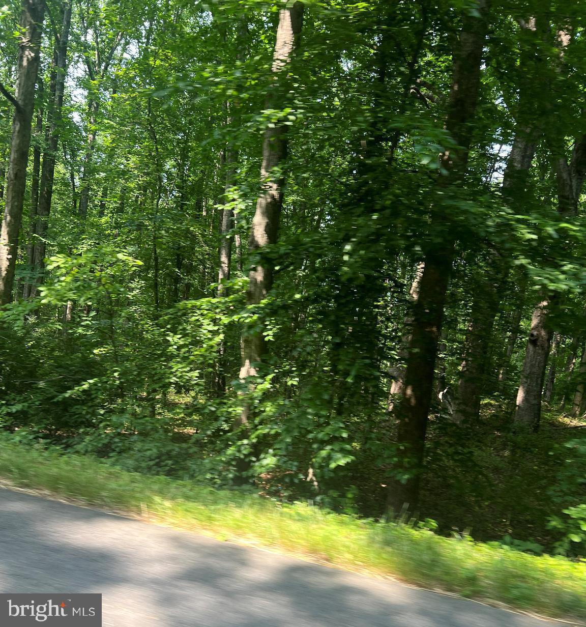 4 Colvin Road Amissville, VA 20106 - Photo 6 of 6