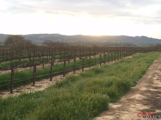 1495 Adobe Road Paso Robles, CA 93446 - Photo 1 of 1 Gallery Image 1