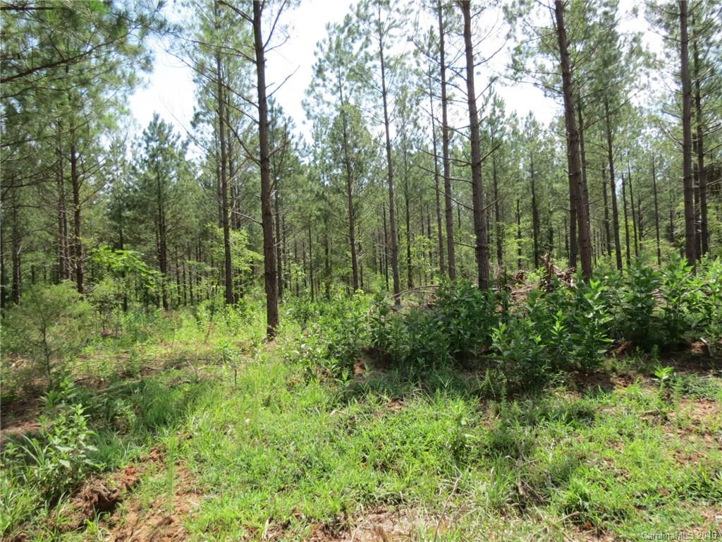 15-ac 15-ac Peden Bridge Road Chester, SC 29706 - Photo 2 of 13