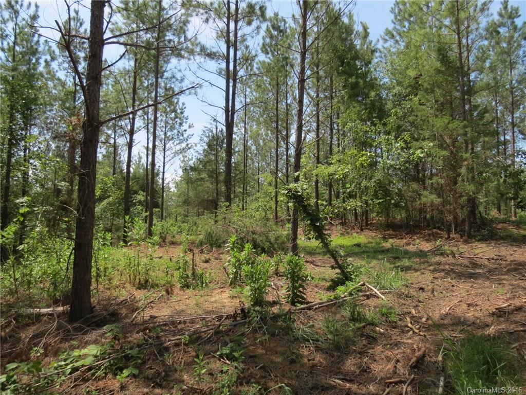 15-ac 15-ac Peden Bridge Road Chester, SC 29706 - Photo 11 of 13