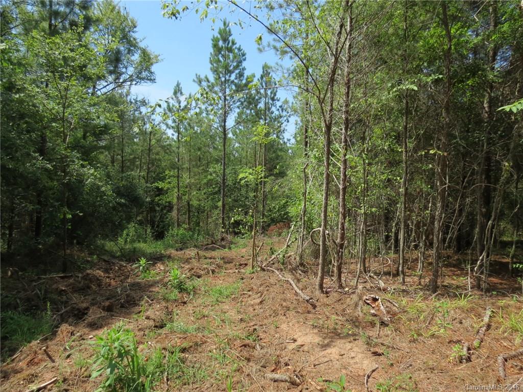 15-ac 15-ac Peden Bridge Road Chester, SC 29706 - Photo 12 of 13