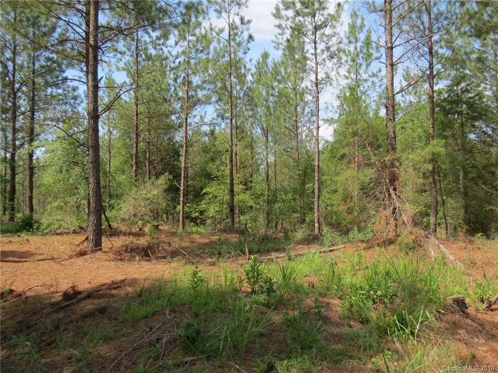 15-ac 15-ac Peden Bridge Road Chester, SC 29706 - Photo 3 of 13