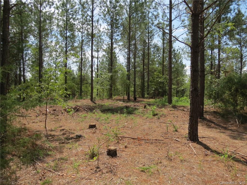15-ac 15-ac Peden Bridge Road Chester, SC 29706 - Photo 4 of 13