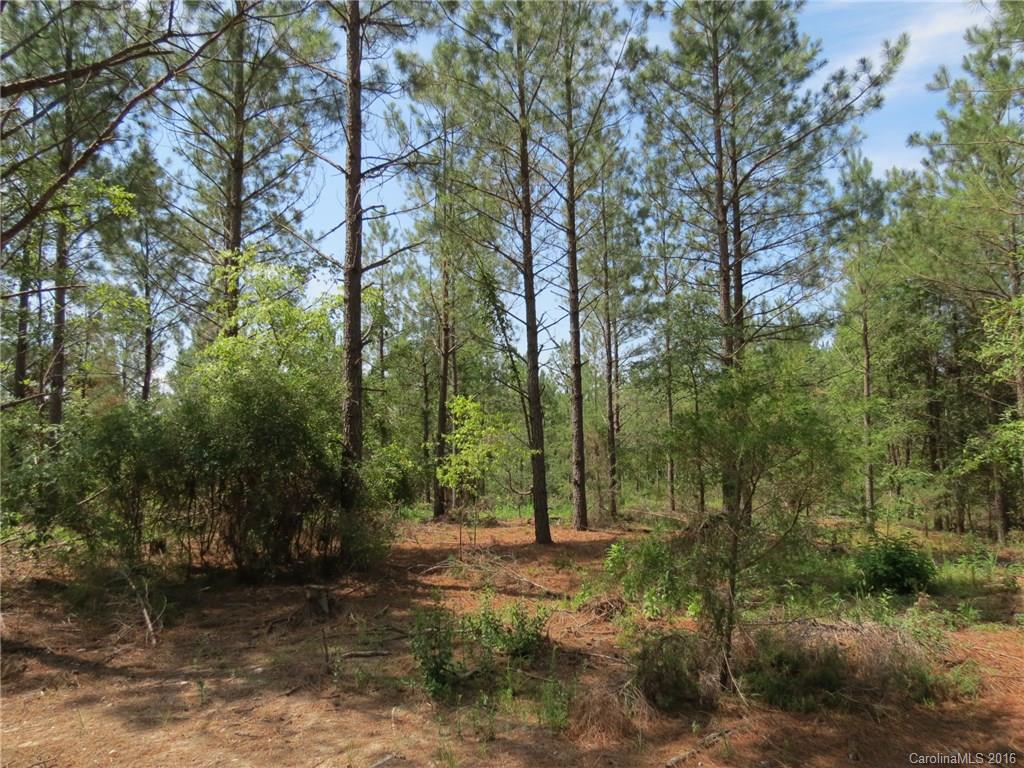 15-ac 15-ac Peden Bridge Road Chester, SC 29706 - Photo 5 of 13