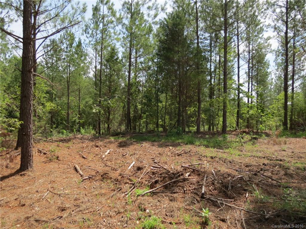 15-ac 15-ac Peden Bridge Road Chester, SC 29706 - Photo 6 of 13