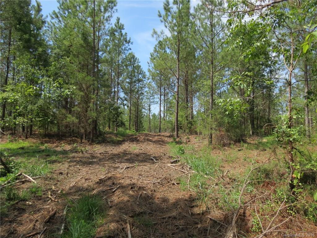 15-ac 15-ac Peden Bridge Road Chester, SC 29706 - Photo 10 of 13