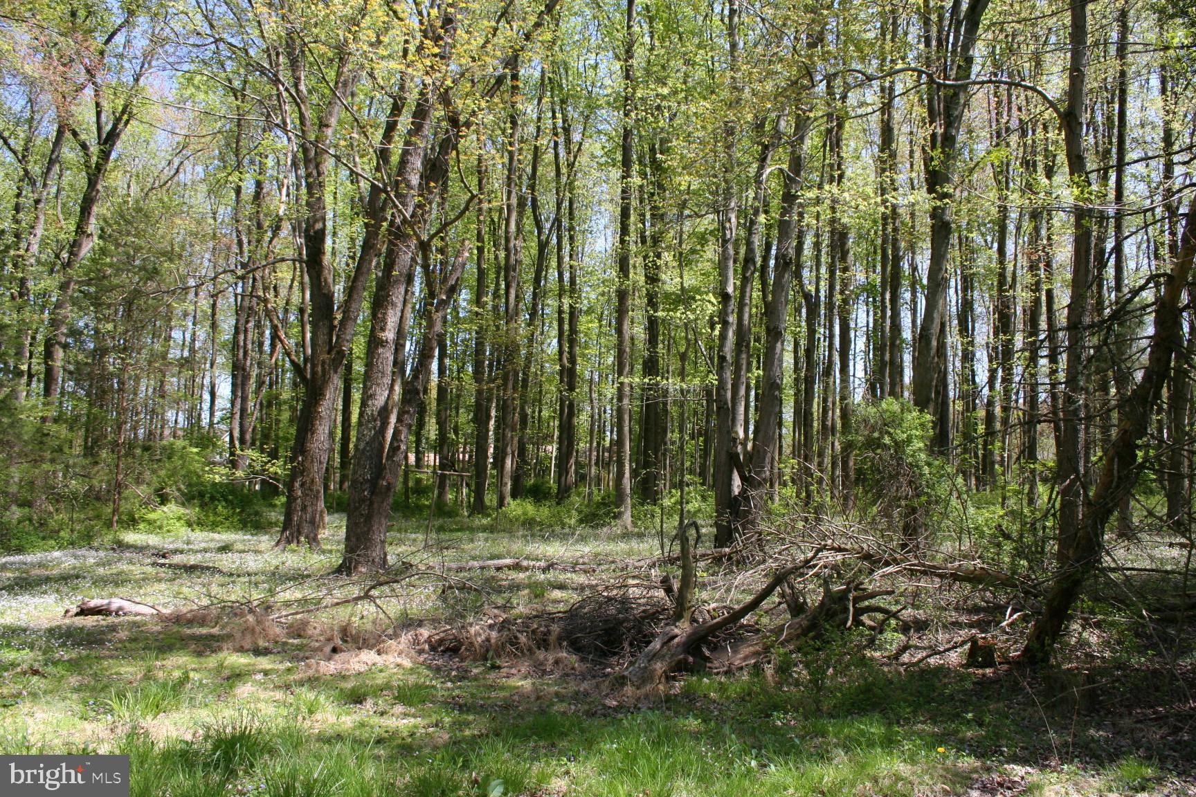 707-709 Beards Hill Road Aberdeen, MD 21001 - Photo 3 of 8