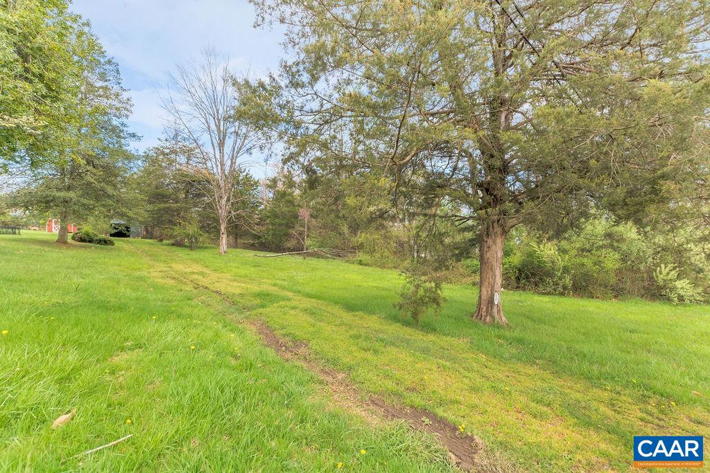 0 Park Road Crozet, VA 22932 - Photo 1 of 3 a view of a tree in a yard
