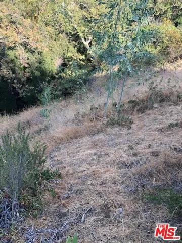 $350,000 | 2301 Nichols Canyon, Los Angeles, CA 90046