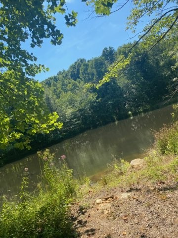 0 Carey Road Crossville, TN 38571 - Photo 2 of 8 Gallery Image 2