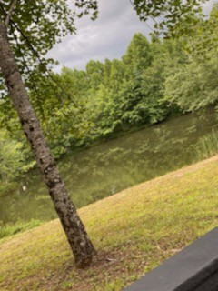 0 Carey Road Crossville, TN 38571 - Photo 6 of 8 Gallery Image 6