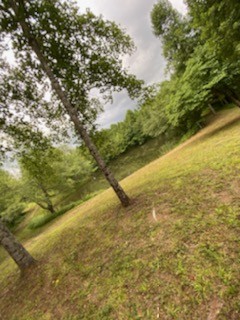0 Carey Road Crossville, TN 38571 - Photo 7 of 8 Gallery Image 7