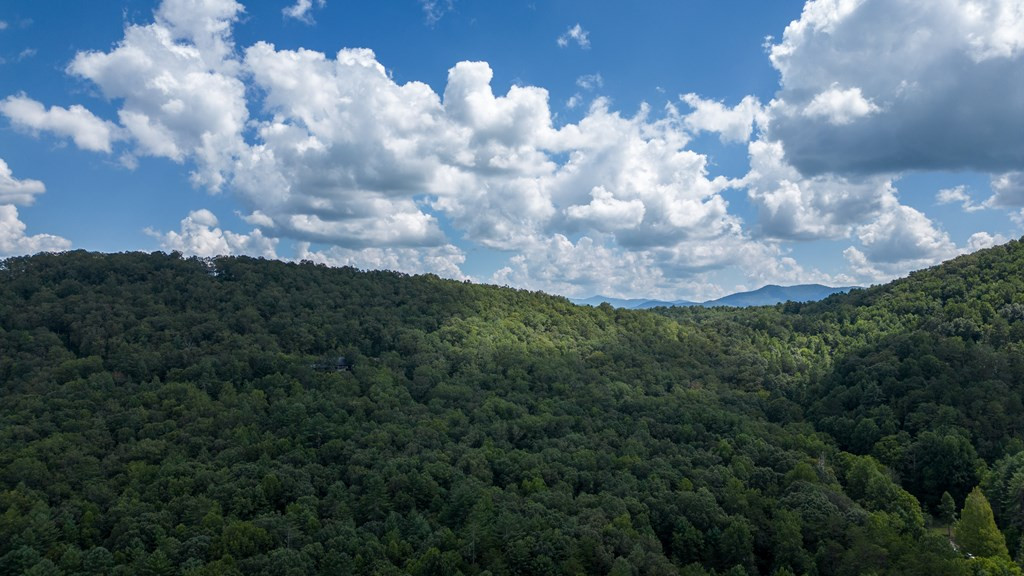 Tbd Waldroup Road Hayesville, NC 28904 - Photo 15 of 16 Gallery Image 15
