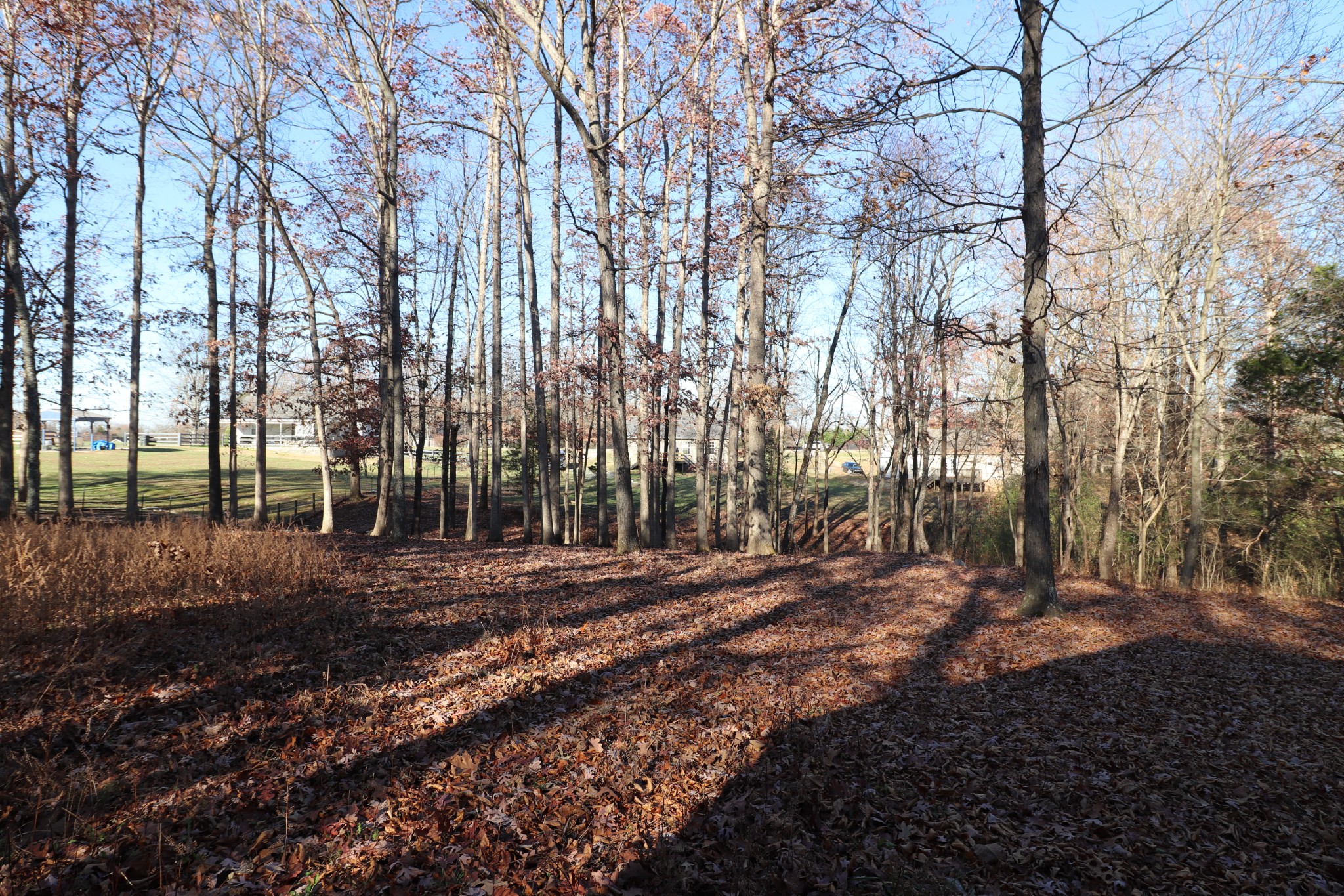 358 Blackey Bandy Road Bethpage, TN 37022 - Photo 7 of 25 Gallery Image 7
