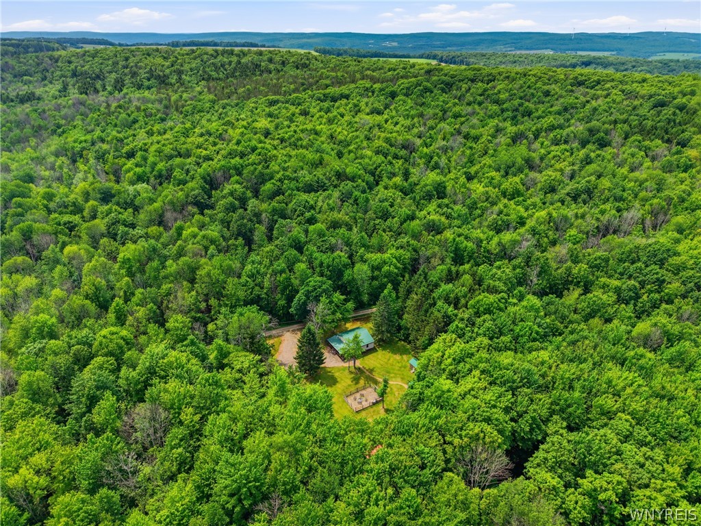 8770 Barber Road, Unit B Rushford, NY 14717 - Photo 29 of 37