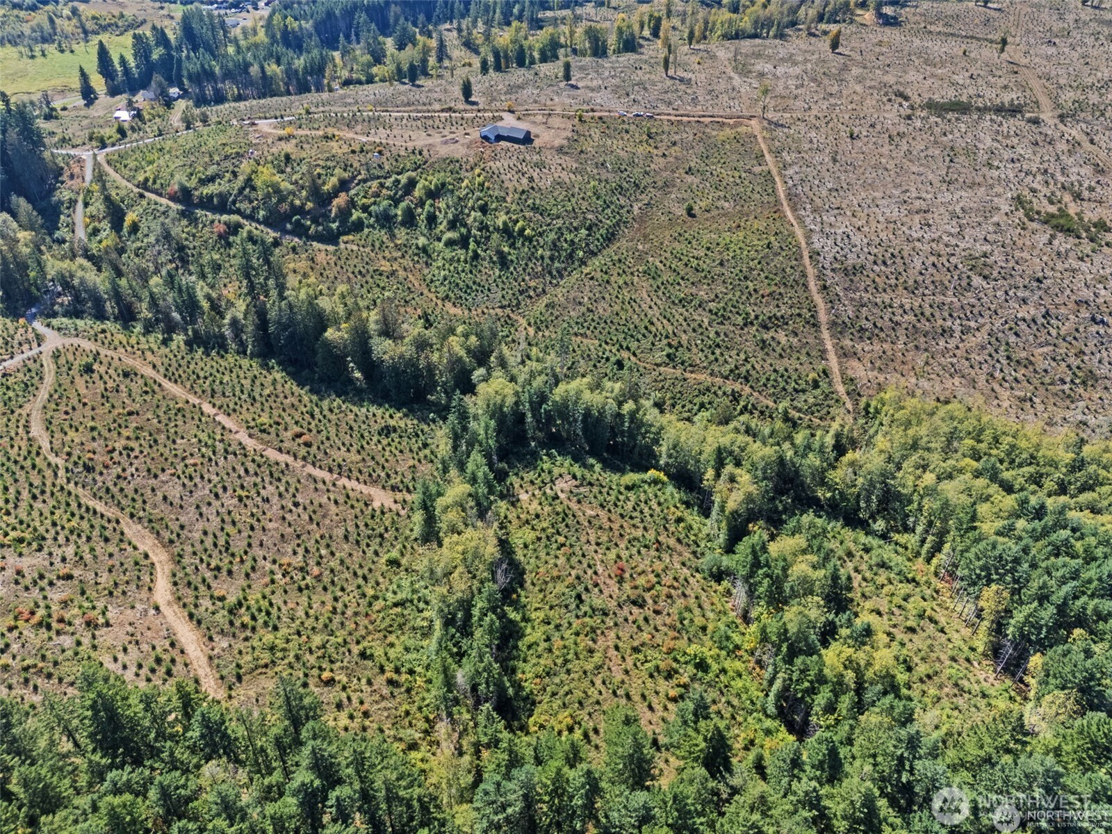 1 Macomber Road Chehalis, WA 98532 - Photo 4 of 17