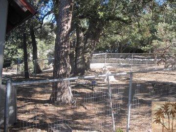 24685 Marion Ridge Drive Idyllwild, CA 92549 - Photo 7 of 8 Additional Photo